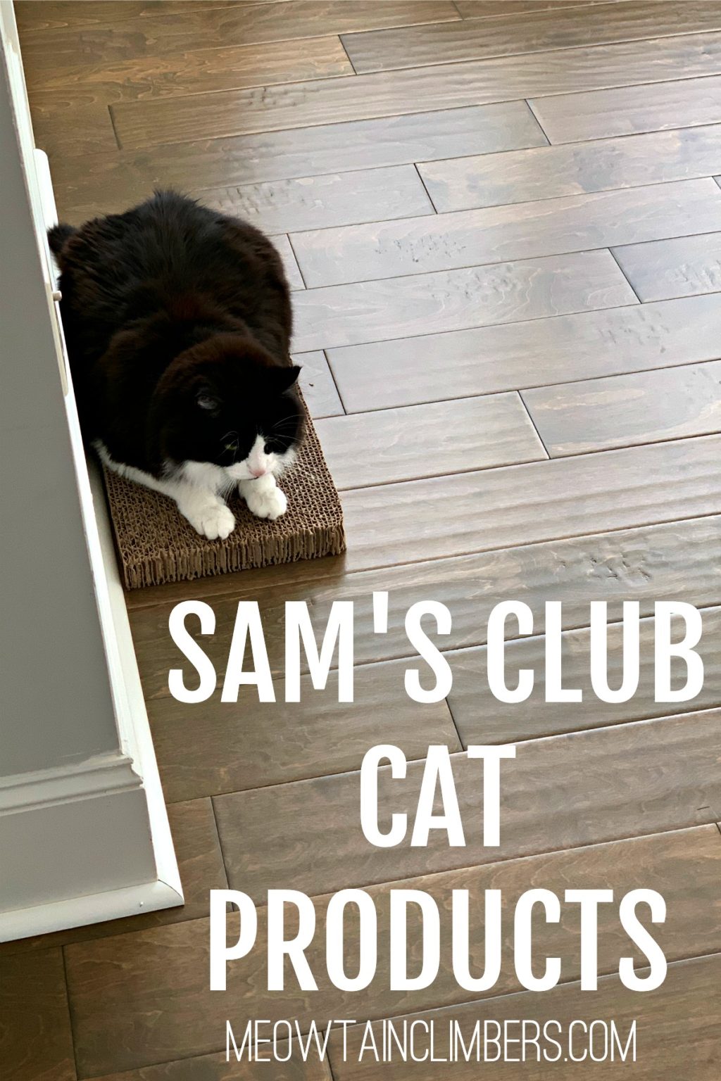 Sam's Club Cat Products Meowtain Climbers